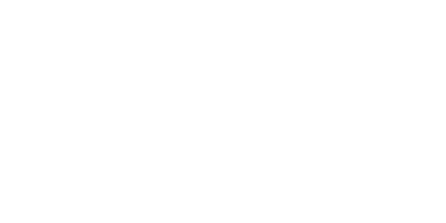 brabuslogo